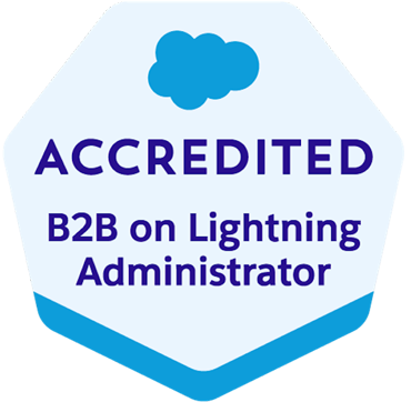 sf-b2b-lightning-administrator